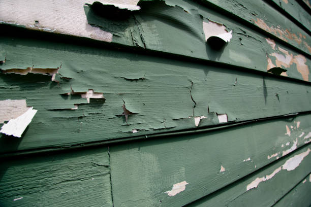 Trusted Whiteland, IN Junk Removal Experts