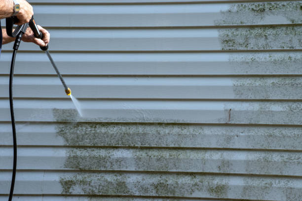 Best Basement Cleanout  in Whiteland, IN