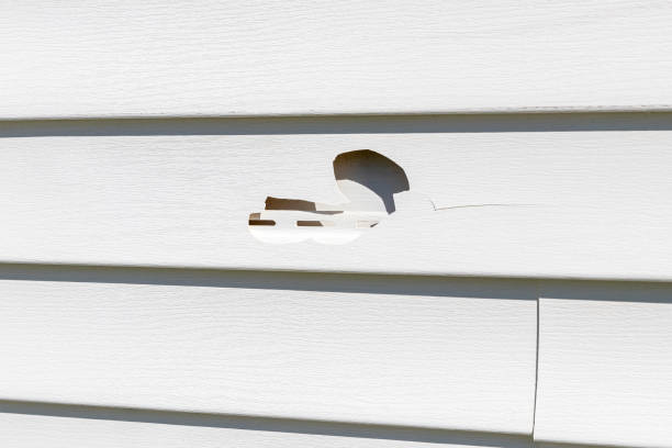 Best Hoarding Cleanup  in Whiteland, IN
