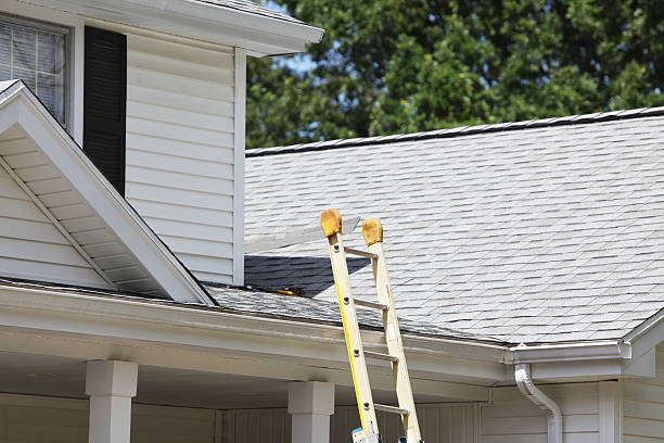 Shed Removal in Whiteland, IN